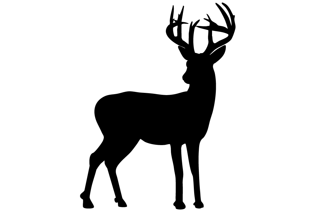 Venison